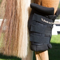 Back on Track Royal Hock Boot Pair - schwarz