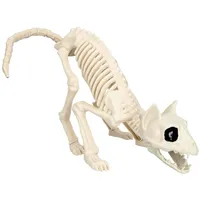 Boland 72413 - Katzen-Skelett, Größe 51 cm, beweglicher Mund,