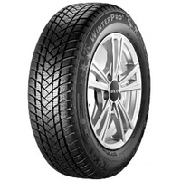 GT Radial Champiro WinterPro 2 225/55 R16 99H