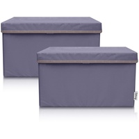 Lifeney 2-Set Aufbewahrungsbox Kinder (37x25x21cm) I Aufbewahrungskorb für Kinderzimmer