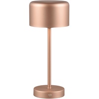 Trio Leuchten LED-Tischleuchte Jeff coffee
