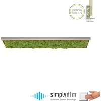 Just light. JUST LIGHT Green Knut mit echtem Moos