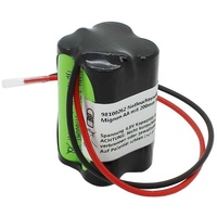 AccuCell Notleuchtenakku NiMH 4,8V 1800mAh F2x2 Mignon AA mit