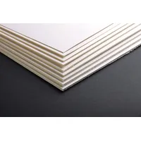 Clairefontaine Holzpappe 0,7mm, 385g 60x80cm 20 Bogen - Elfenbein
