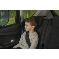 CARTREND Kids Gurtpolster-Set grau