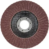 WOLFCRAFT 1 Schleiflamellenteller WS K40 ø115mm