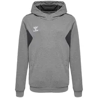 Hummel hmlAUTHENTIC PL Hoodie Kids
