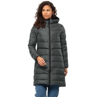 Jack Wolfskin LENAUPLATZ Coat W slate green XXL