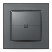 EQ-3 Homematic IP Wandtaster 2-fach anthrazit