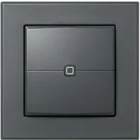 Homematic IP Wandtaster 2-fach, anthrazit