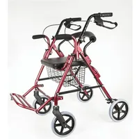 Antar Rollator mit Fußstütze 1 St