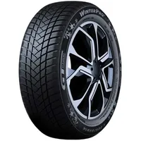 GT Radial Winterpro2 195/60 R16 89H