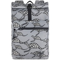Chiemsee Jump N Fly Backpack Role Grey