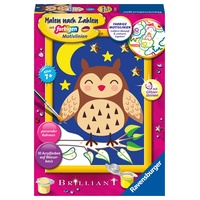 Ravensburger Malen nach Zahlen Niedliche Eule 1 St. 13x18