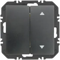 Berker Modul Wippe 2f 24128306