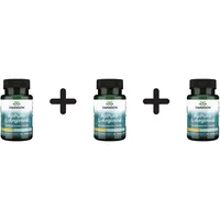Swanson AjiPure L-Arginin 500mg 60 St