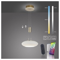 Paul Neuhaus Q-ETIENNE LED-Hängelampe 1fl, messing