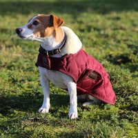 Kentucky Original Hundejacke - Bordeaux - 71-80 cm