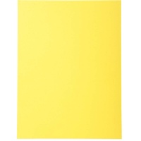 Exacompta 420005E 100er Pack Aktendeckel Forever® 170 g/m2 Aus