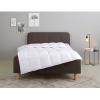 MY HOME Federbettdecke MY HOME "Irah Bettdecke 135x200 cm,