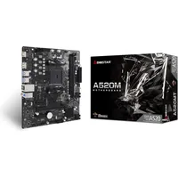 Biostar A520MT