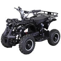 ACTIONBIKES MOTORS Actionbikes Miniquad Torino 1000 Watt, Pocket-Quad mit