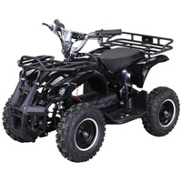 ACTIONBIKES MOTORS Elektro-Kinderquad Torino, 1000 Watt, Pocket-Quad mit Scheibenbremsen,