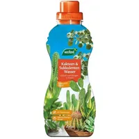 Westland Kakteen- & Sukkulenten Wasser 720 ml Dünger