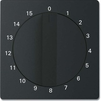 Busch-Jaeger Zentralscheibe sw/matt 1770-885-103