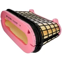 Mann-Filter C 50 004/1