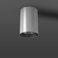 RZB Heledon LED/33W-fresh meat D 1er Pack silber Aluminium