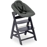 Hauck Alpha+ dark grey inkl. Alpha Newborn Set Plus