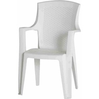 PROGARDEN Eden Gartensessel 55 x 46 x 91 cm