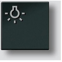 Siedle Siedle&Söhne Licht-Taste sw-hgl 200029978-00