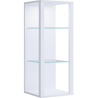 VCM Vitrine Glas Wandvitrine Wandregal Glasol MW