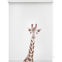 Lichtblick Rollo, Klemmfix, 100x150 cm, - braun