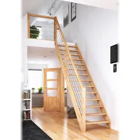 DOLLE Raumspartreppe Paris gerade Buche unbehandelt inkl. Geländer