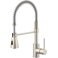 Lenz Kalani 2 Spültischarmatur Nickel