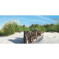 Express Küchen Küchenrückwand EXPRESS KÜCHEN "Strand", bunt, B:120cm H:55,9cm,