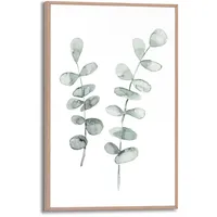 Reinders! Reinders Wandbild 20 x 30 cm Eucalyptus Strings