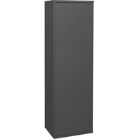 Mäusbacher Bonnie Hängeregal mit Tür 41x132x32 cm - Anthrazit