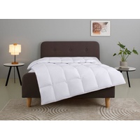 Home Affaire Daunenbettdecke HOME AFFAIRE "Litrone, Bettdecke 135x200 cm,