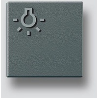 Siedle Siedle&Söhne Licht-Taste dgr-Glim 200029980-00