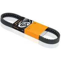 Continental CONTITECH Keilriemen