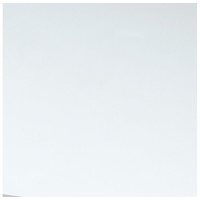 Gutta Polystyrolplatte glatt Transparent 1000 mm x 500 mm