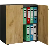 VCM Lona Aktenschrank 70 x 39 x 74 cm