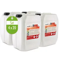 Höfer Chemie 4x 20 L Bioethanol 100% Hochrein