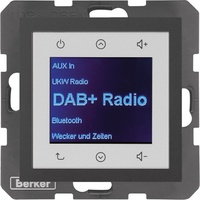 Berker Radio DAB+, Bt., B.x anth.