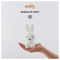 Mr Maria Bundle of Light