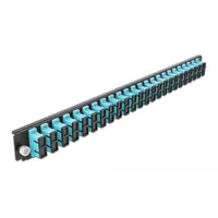 DeLock - Vorderseite - SC SM X 48 -